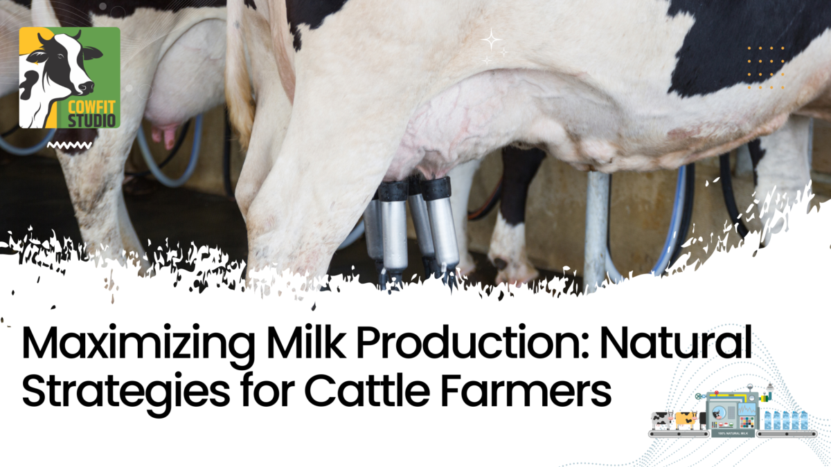 Maximizing Milk Production: Natural Strategies for Cattle Farmers