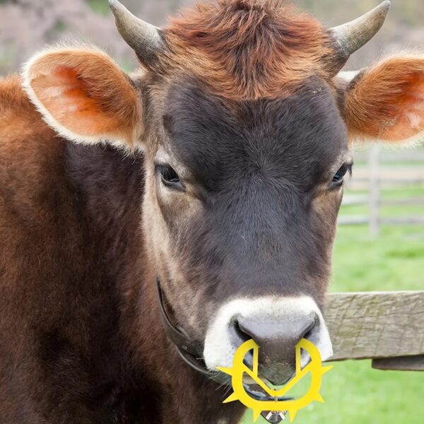 Cowfit Calf Weaner